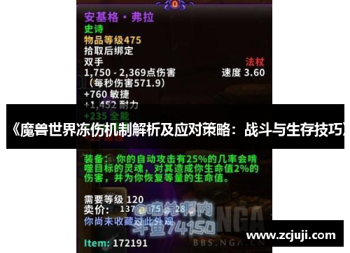 《魔兽世界冻伤机制解析及应对策略：战斗与生存技巧》
